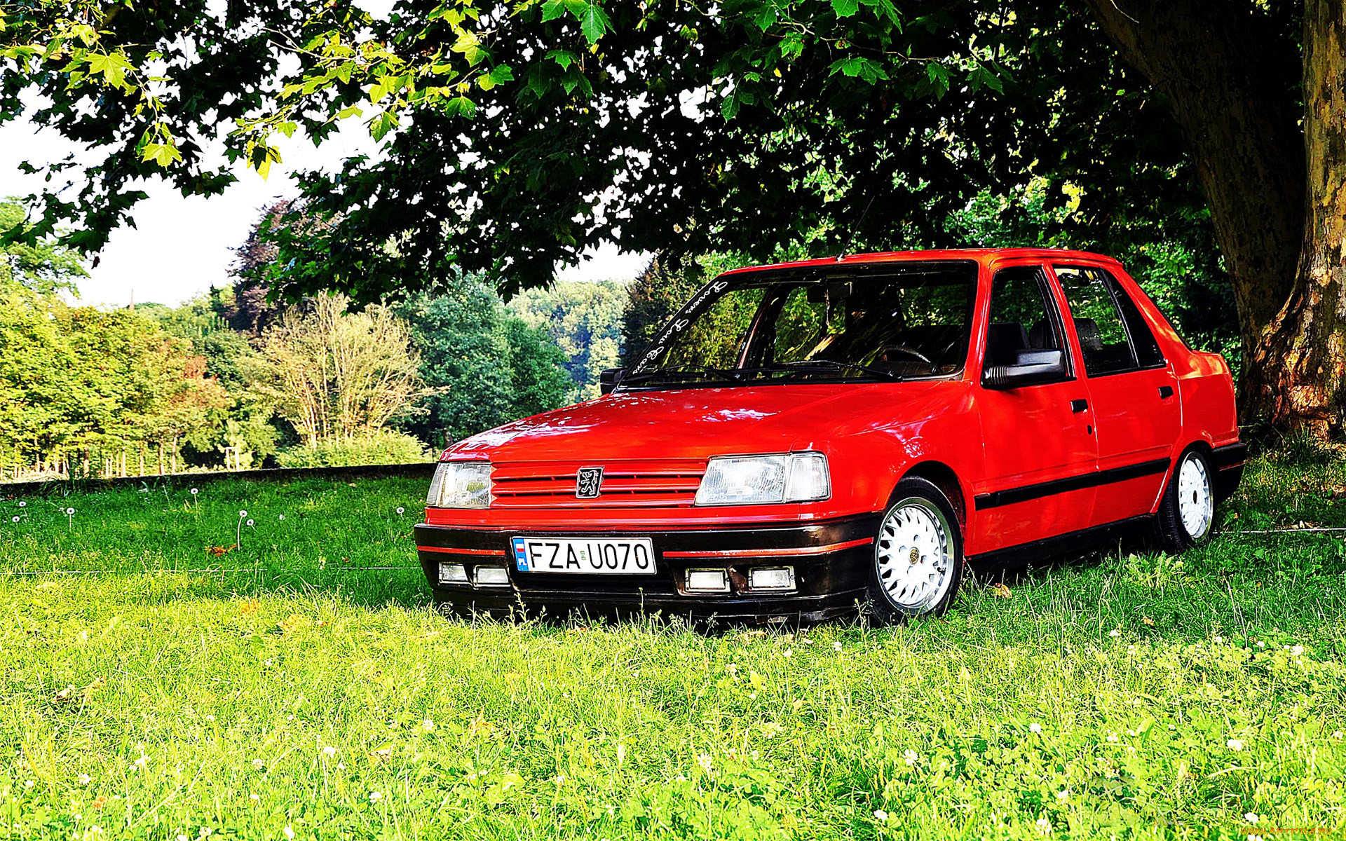 , peugeot, 309